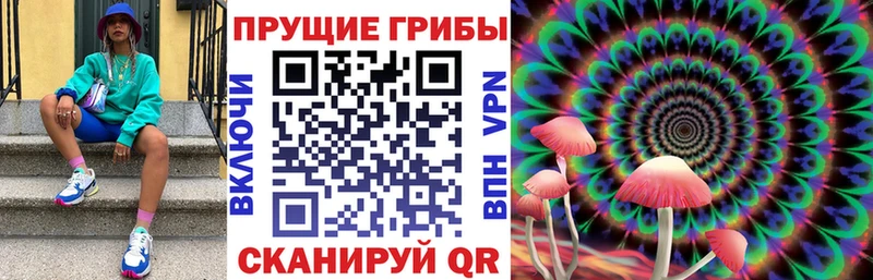 Галлюциногенные грибы MAGIC MUSHROOMS  Нелидово 